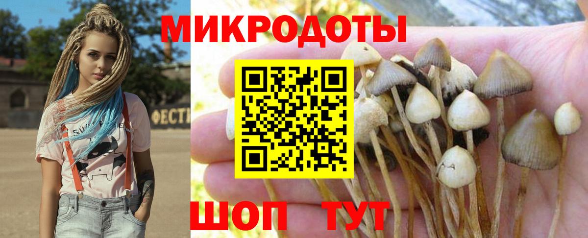 Галлюциногенные грибы прущие грибы  Галлюциногенные грибы Cubensis  Вход с VPN  Абакан 