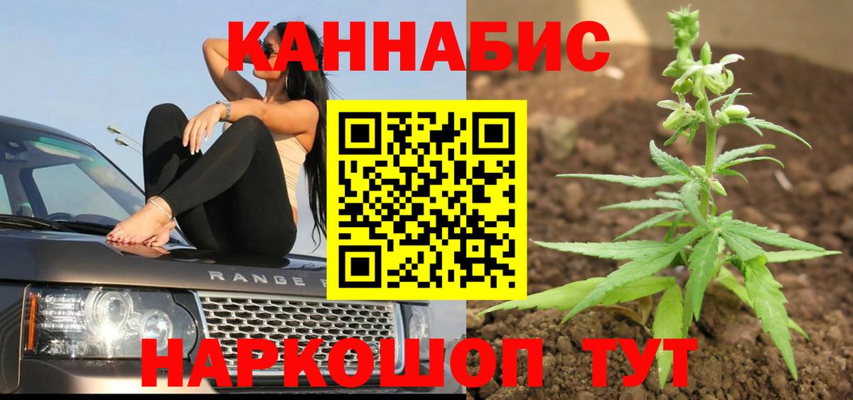 Бошки марихуана гибрид Абакан
